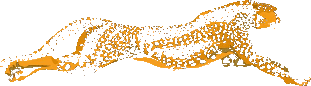 Gold running leopard logo